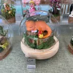 2025 - 05 Geek2Splash Festival